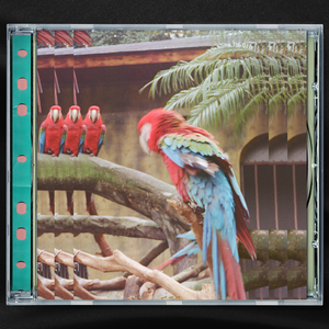 日本无码🔞视频在线观看饭冈
