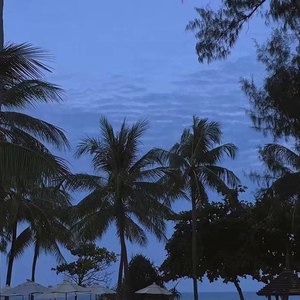 日本无码🔞视频在线观看饭冈
